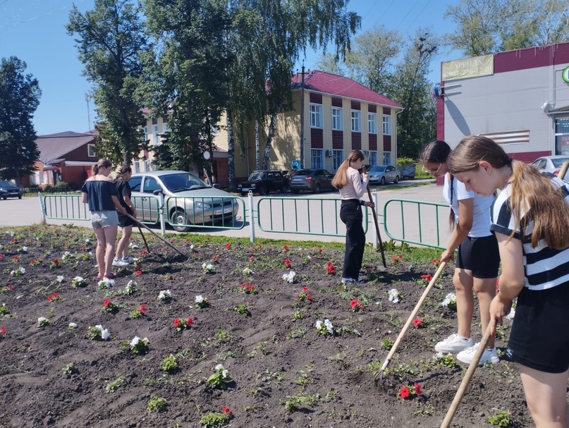 Трудовой десант.